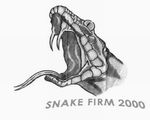 full-size